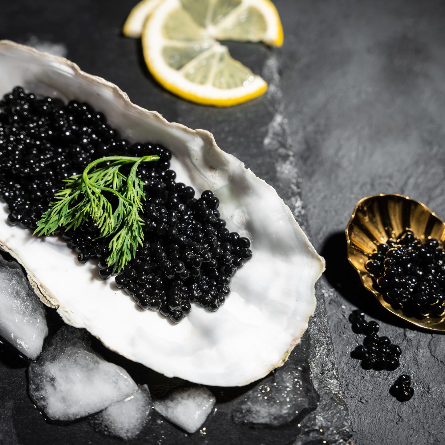 La DOLCE VITA d’Alta Classe - Caviale Hoodie zip & Ostrica premium hoodie schwarz