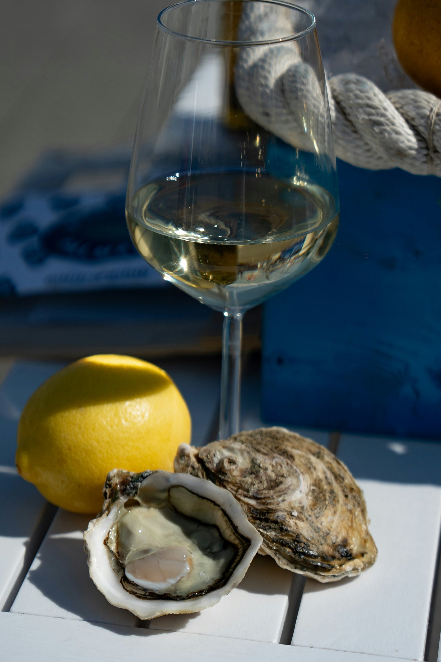 MARE e LIMONE - Cap & T-Shirt