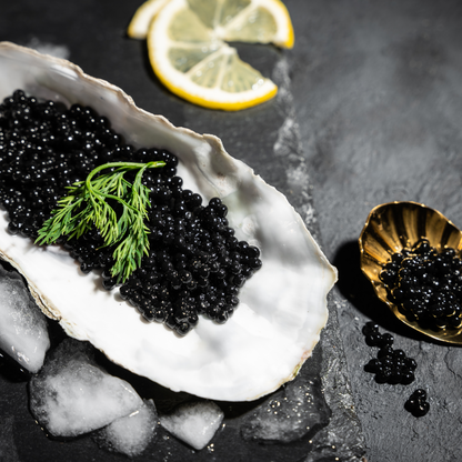 La DOLCE VITA d’Alta Classe - Caviale Hoodie zip & Ostrica premium hoodie schwarz