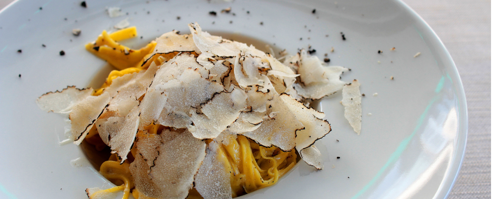 Baccone UMAMI Collection