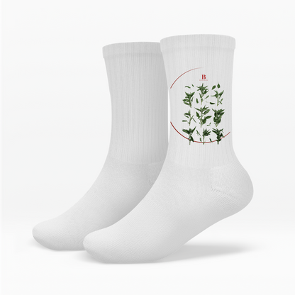 Salvia - socks