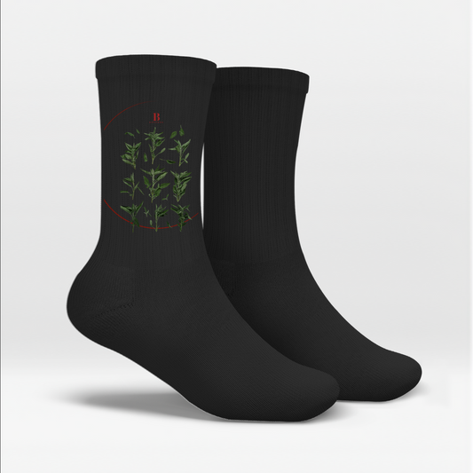 Salvia - socks